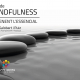 Mindfulness